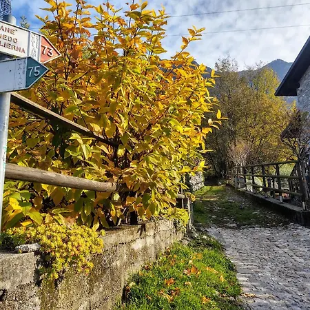 Di Lalla By Interhome 公寓 列尔纳